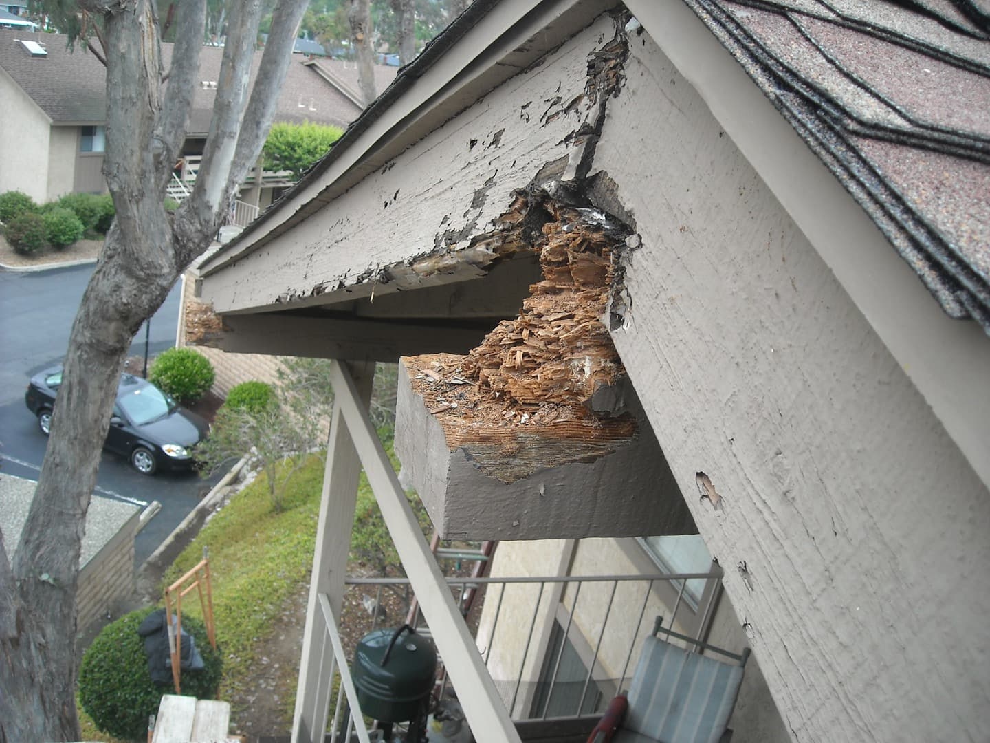 Severe eave rot